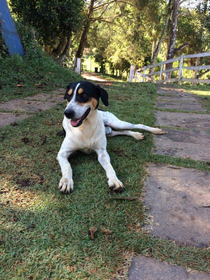 Pousada Rural E Pesqueiro Chale Da Serra Conceição da Ibitipoca Bagian luar foto