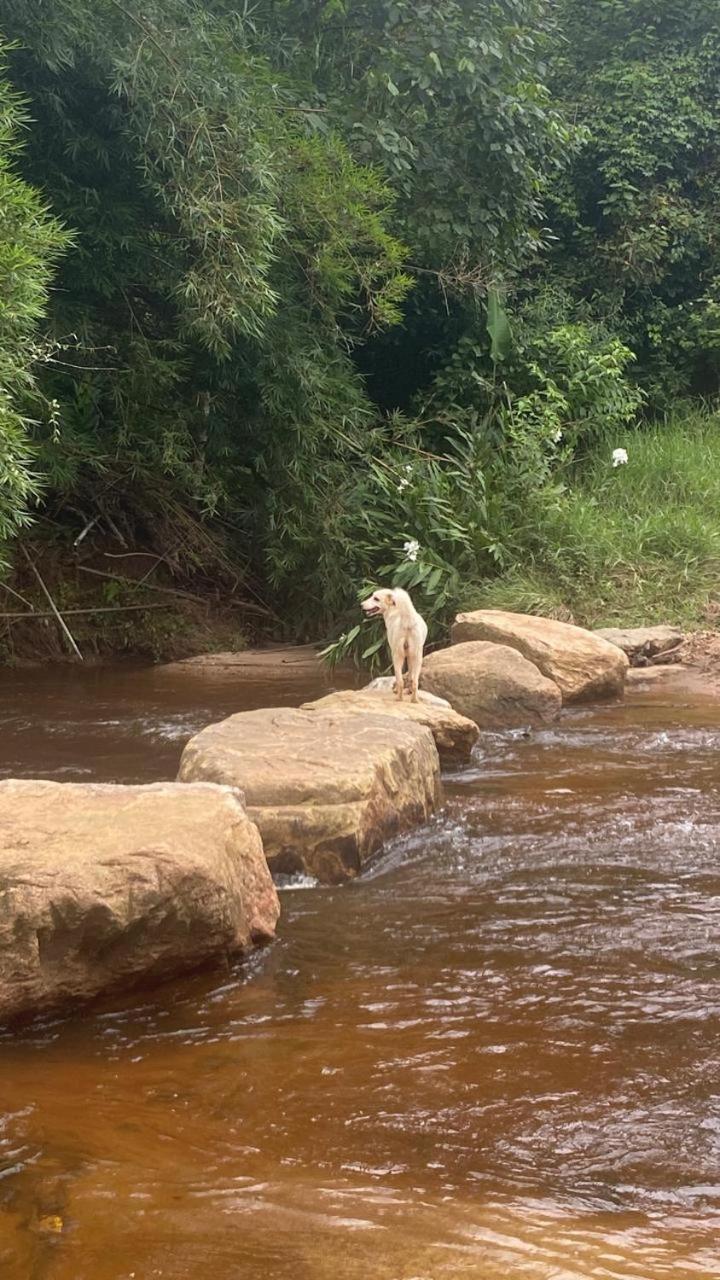 Pousada Rural E Pesqueiro Chale Da Serra Conceição da Ibitipoca Bagian luar foto