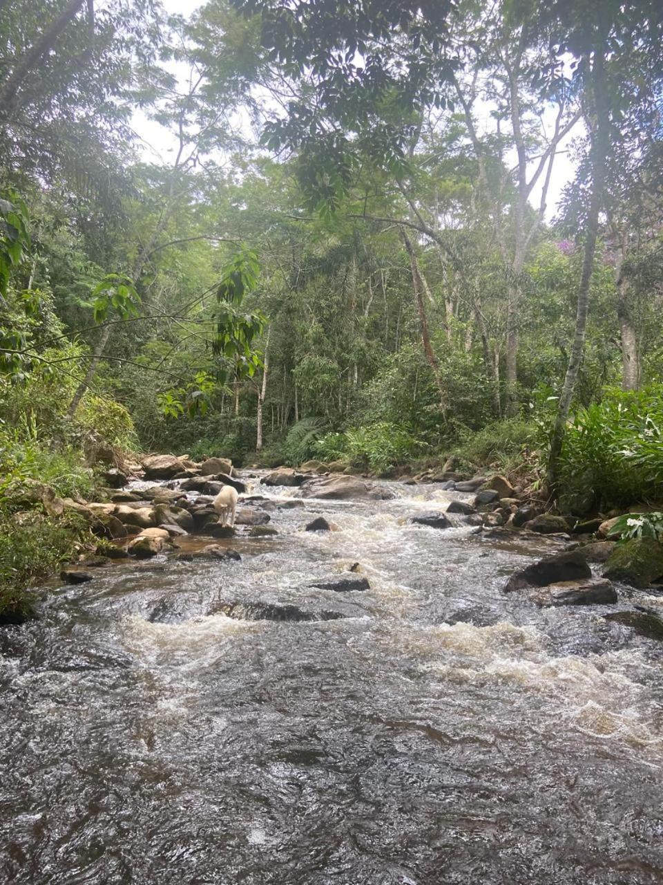 Pousada Rural E Pesqueiro Chale Da Serra Conceição da Ibitipoca Bagian luar foto