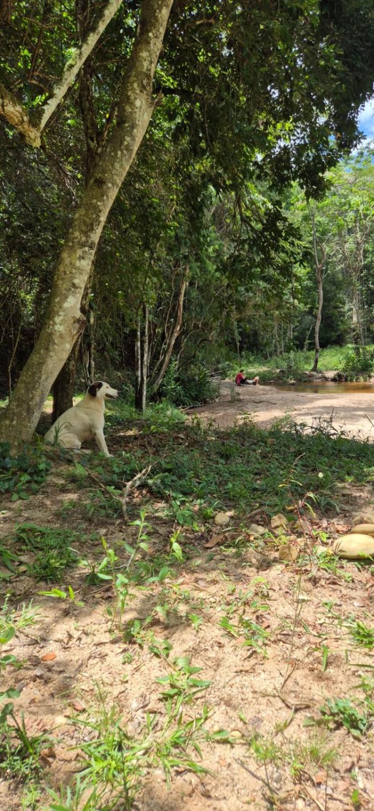 Pousada Rural E Pesqueiro Chale Da Serra Conceição da Ibitipoca Bagian luar foto