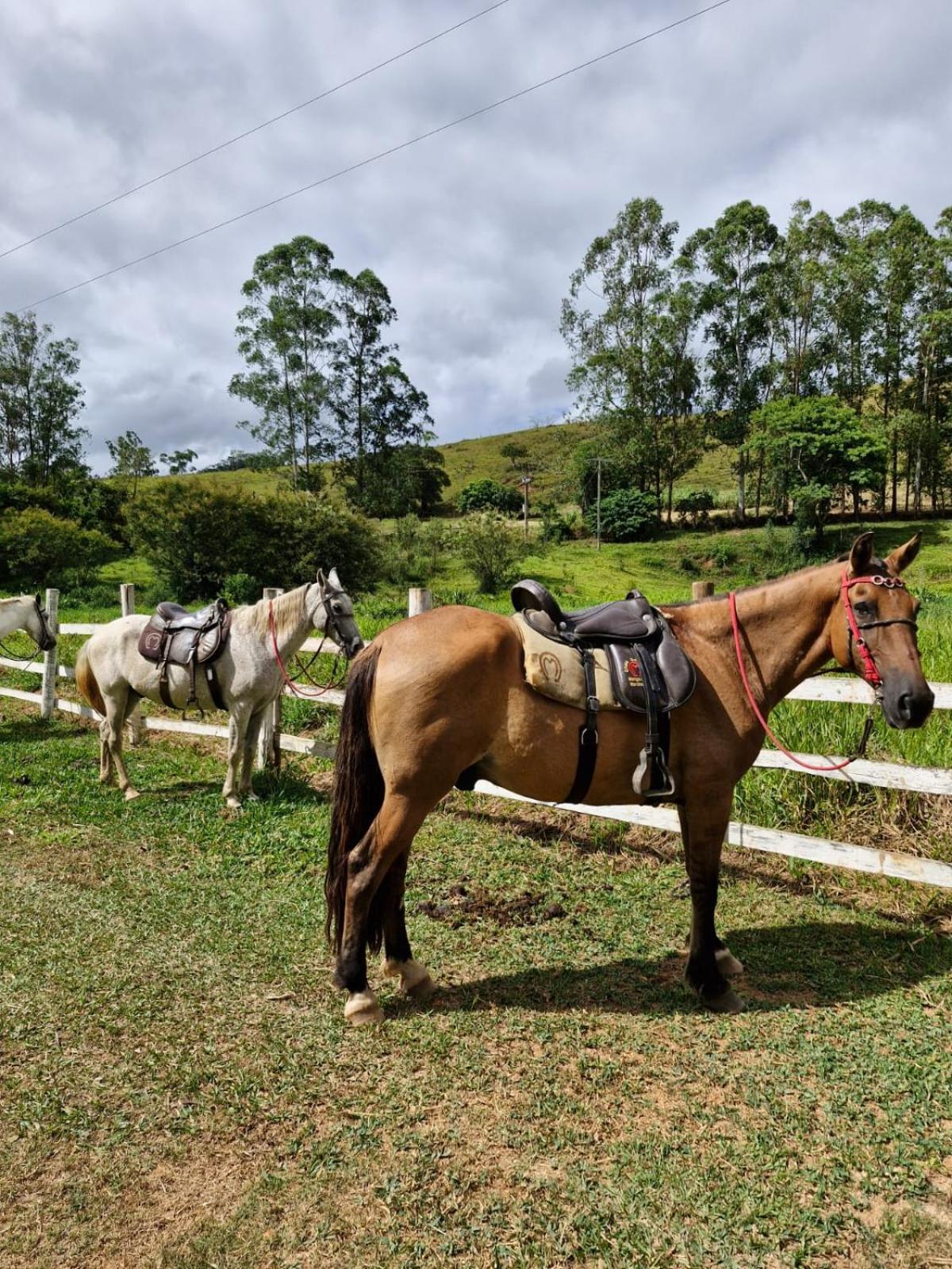 Pousada Rural E Pesqueiro Chale Da Serra Conceição da Ibitipoca Bagian luar foto