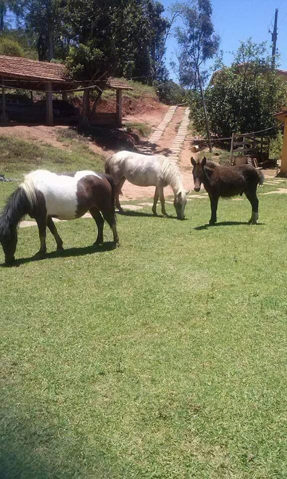 Pousada Rural E Pesqueiro Chale Da Serra Conceição da Ibitipoca Bagian luar foto